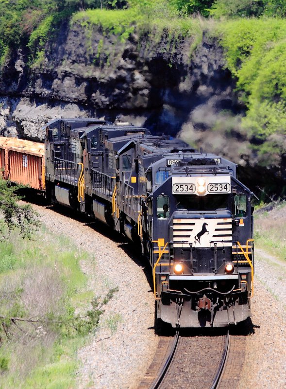 NS 2534 leads train 167 at Parkers Lake 
