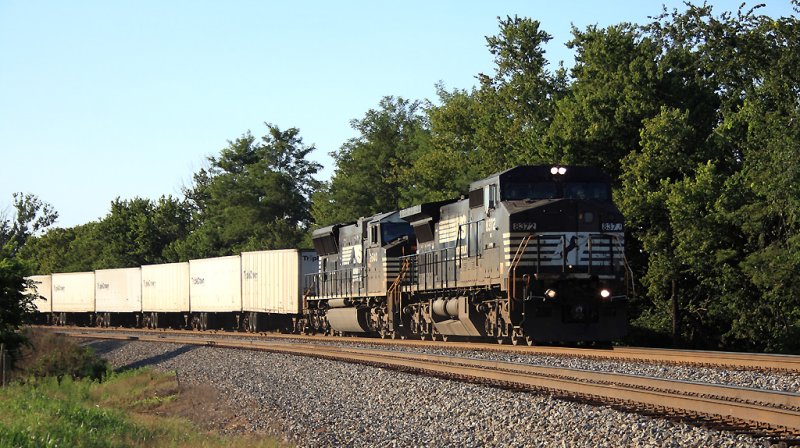 Triple Crown NS 251 