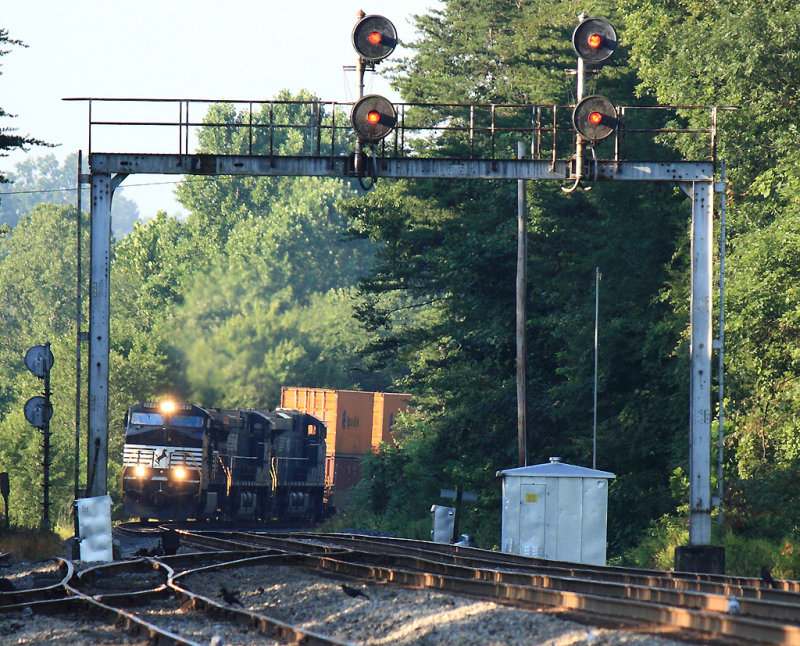 NS 216 Rounding the bend at Hellenwood