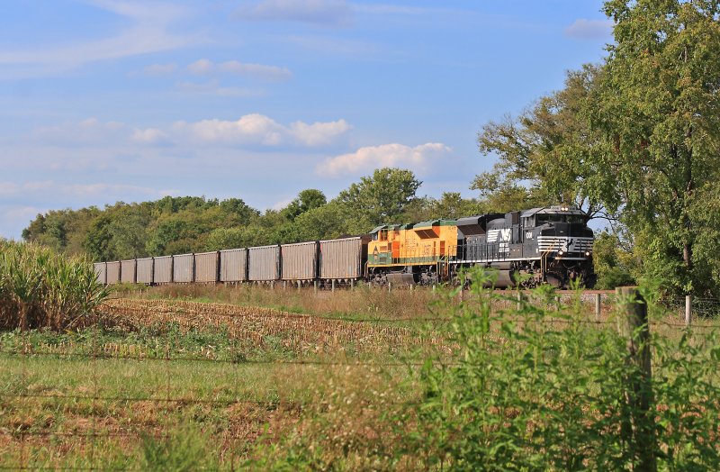 The Brown coal Turn, NS 76J, at Vanarsdale 