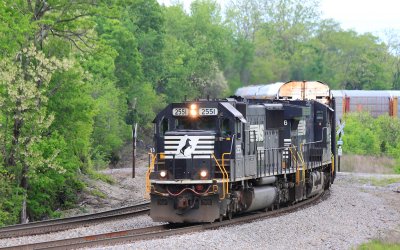 NS 2551 leads train 289 around Turtle Tree Curve at Waddy 