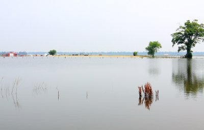 Flooded corn fields that wont see a plow or profit this year. 