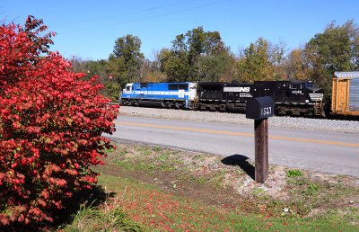 NS 289 passes a burning bush in full color at Waddy 