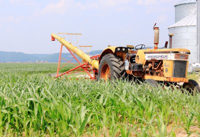 Trains and Tractors in the corn 