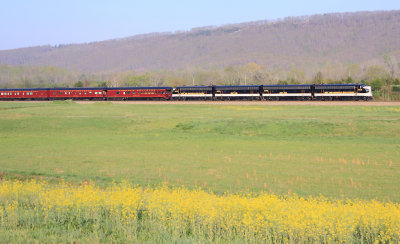 The Blue Ribbon Special heads North up the valley on a Spring morning 