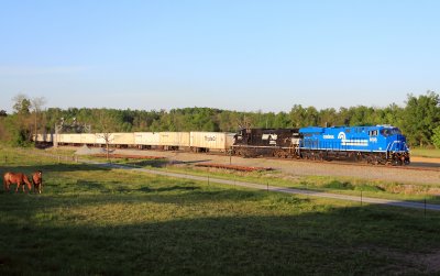 Triplecrown 251 has Conrail 8098 leading as the train heads South out of Danville, KY 