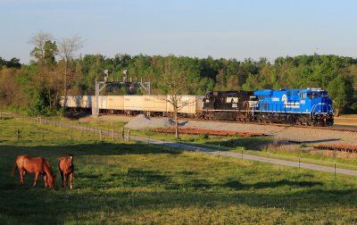 A pair of horse enjoy the last few minutes of daylight as NS 251 heads South for Atlanta 