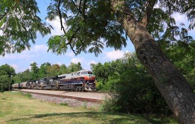 The photographer is enjoyng a litle shade on a HOT day as CofG 8101 leads a Southbound grain train at Burgin Kentucky 