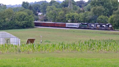NS 3295 leads the train North past the Government Farm 