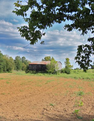 Barn and empty field 