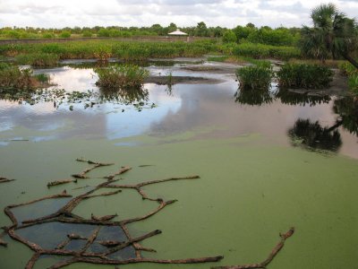 Green Cay