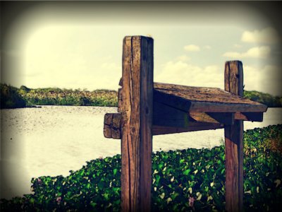 Fishing Area