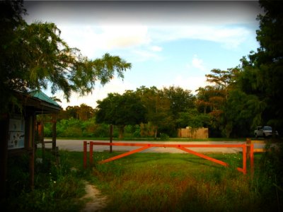 Birding Trail