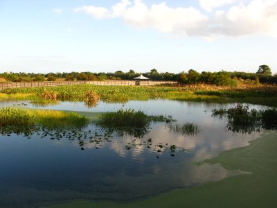 Autumn & Green Cay