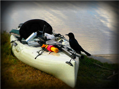 Canoe attendant