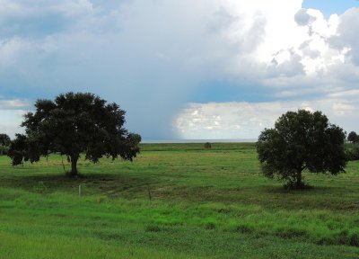 Lake Okeechobee scenic trail