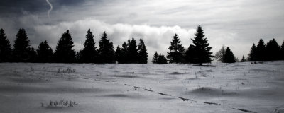 g4/35/869835/3/134184360.QKP9gz6Q.jpg