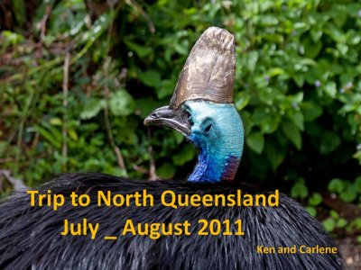 Birds, Butterfles and more, North Queensland.