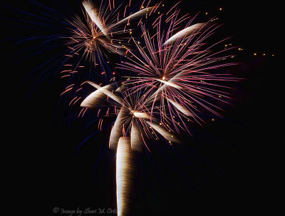 Fireworks #4.jpg
