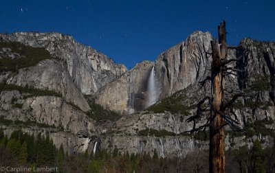 Yosemite Falls lit by full moon