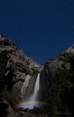 Bid Dipper over Yosemite Falls with Moonbow