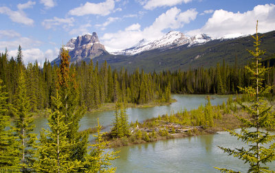 Castle Mountain