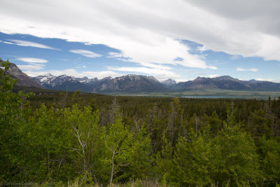 Waterton Lakes National Park, Alberta