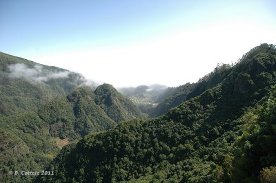 Ribeiro Frio Balcoes