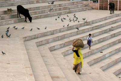 Pushkar Ghats #4