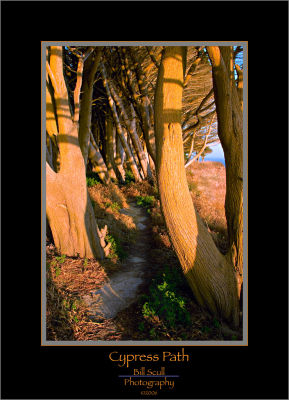 Cypress Path