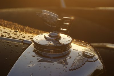 Bentley hood ornament