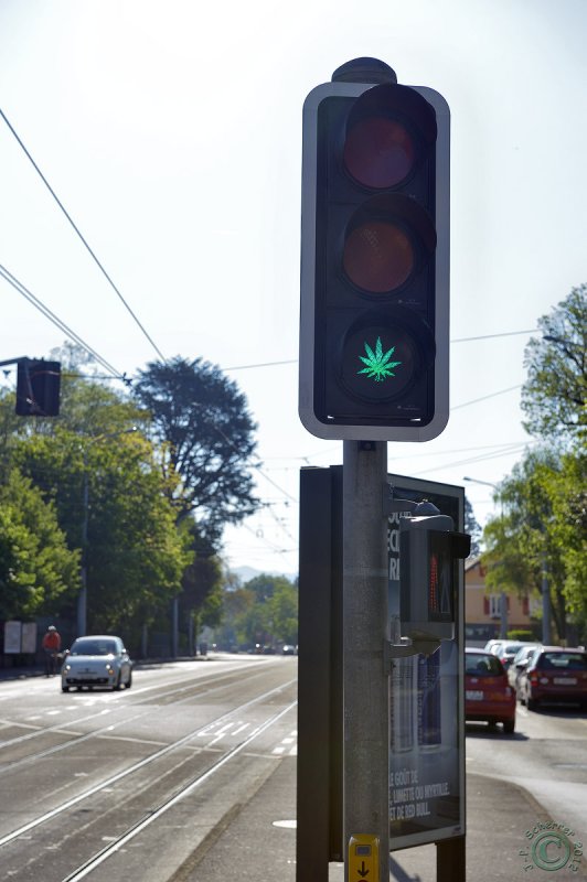 Fun traffic lights