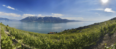 The French Alps over Lake Leman from the vineyards of Chexbres