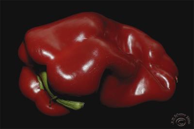 Dark pepper #2