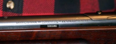 sav-19-short-stock_4672.jpg