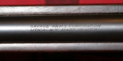 sav-19-short-stock_4674.jpg