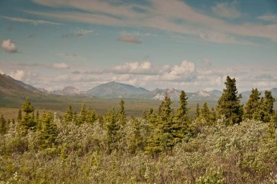 Denali National Park