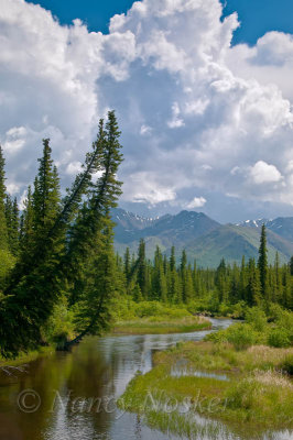Denali Highway east of Cantwell