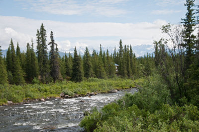 Denali Highway