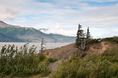 Turnagain Arm to Homer