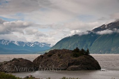 Turnagain Arm