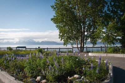 Kachemak Bay
