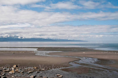 Homer Spit