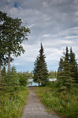 Johnson Lake