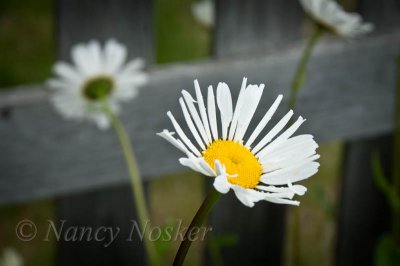 g4/36/263036/3/133656275.N6hkcm5R.jpg