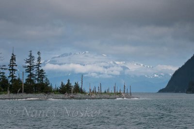 g4/36/263036/3/134692964.nnij6d9Q.jpg
