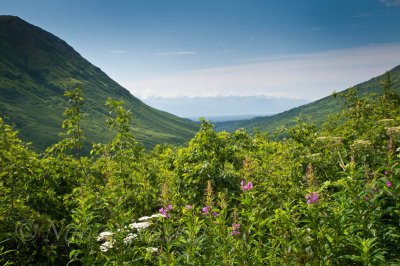 Hatcher Pass