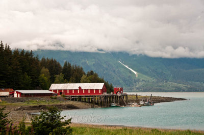 Haines Packing Company