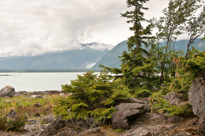 Chilkat State Park