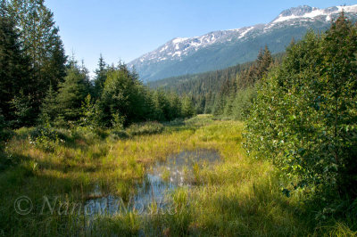 Dyea town site